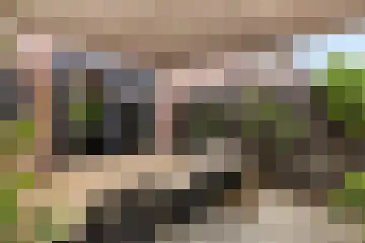 Aletta Jacobsweg 25 Assen thumbnail 39