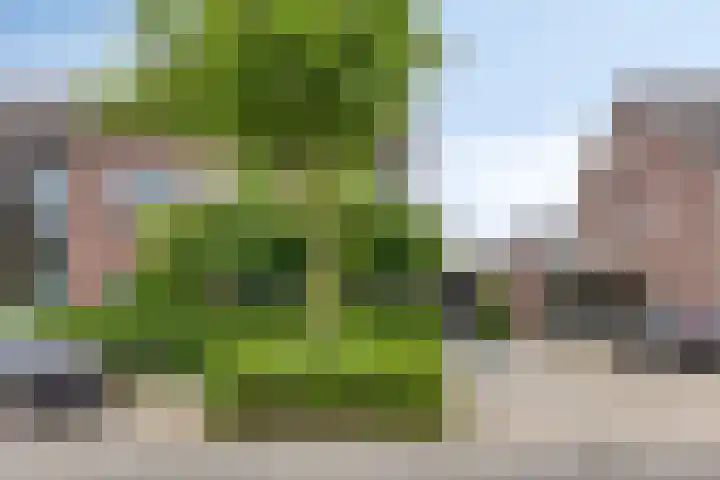 Aletta Jacobsweg 25 Assen thumbnail 4