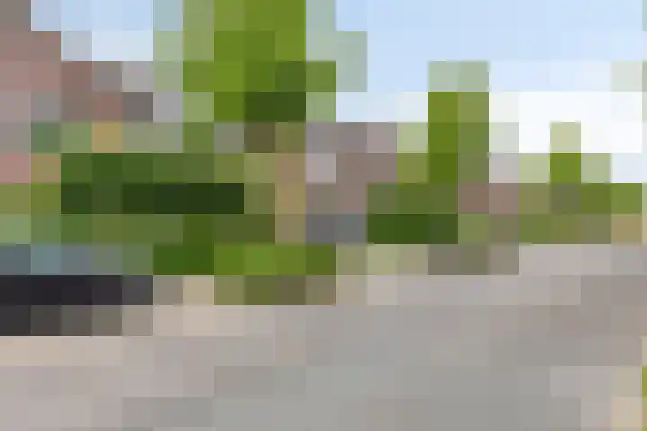 Aletta Jacobsweg 25 Assen thumbnail 5