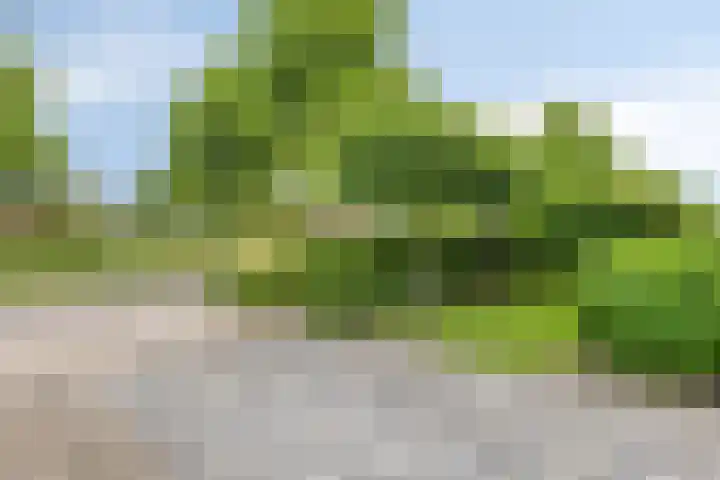 Aletta Jacobsweg 25 Assen thumbnail 6
