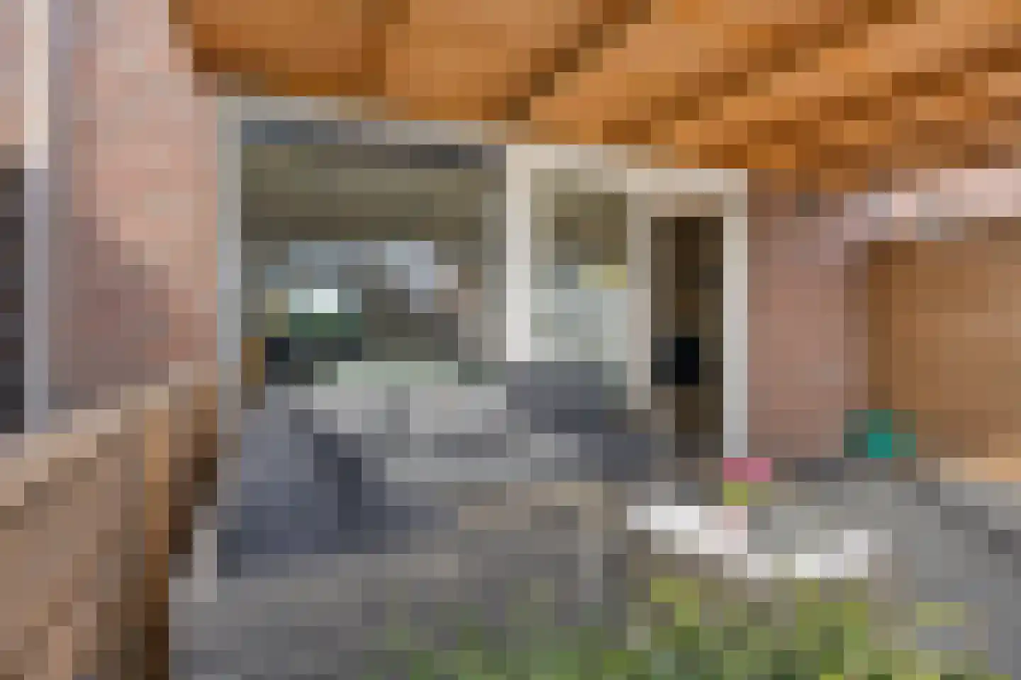 Aletta Jacobsweg 34 Assen thumbnail 36