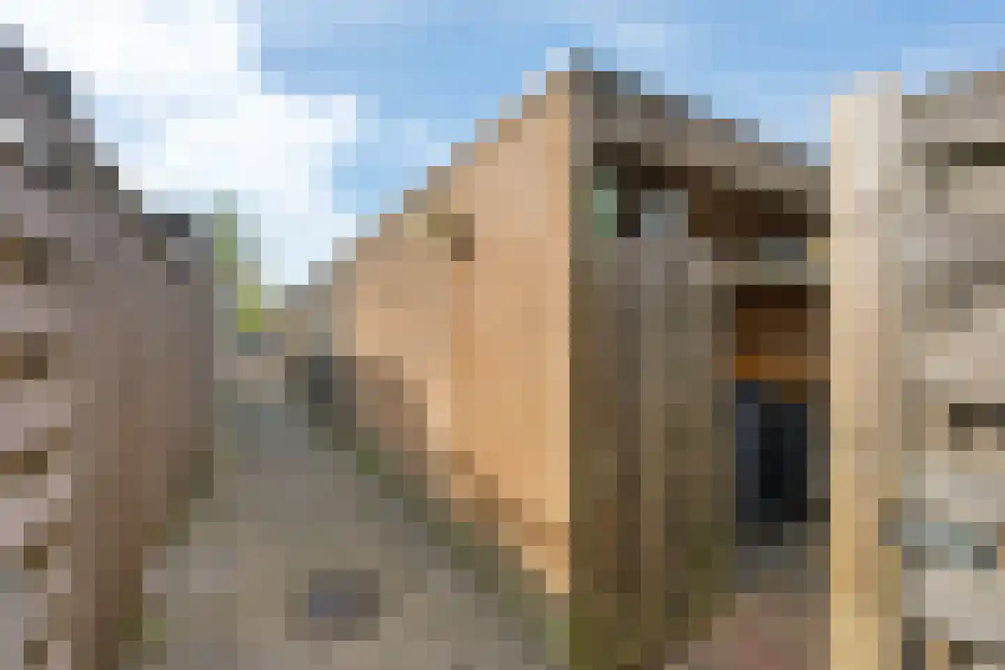 Aletta Jacobsweg 34 Assen thumbnail 42