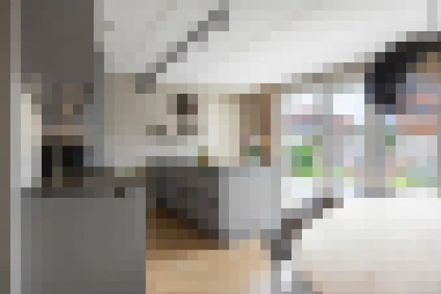 Aletta Jacobsweg 53 Assen thumbnail 28