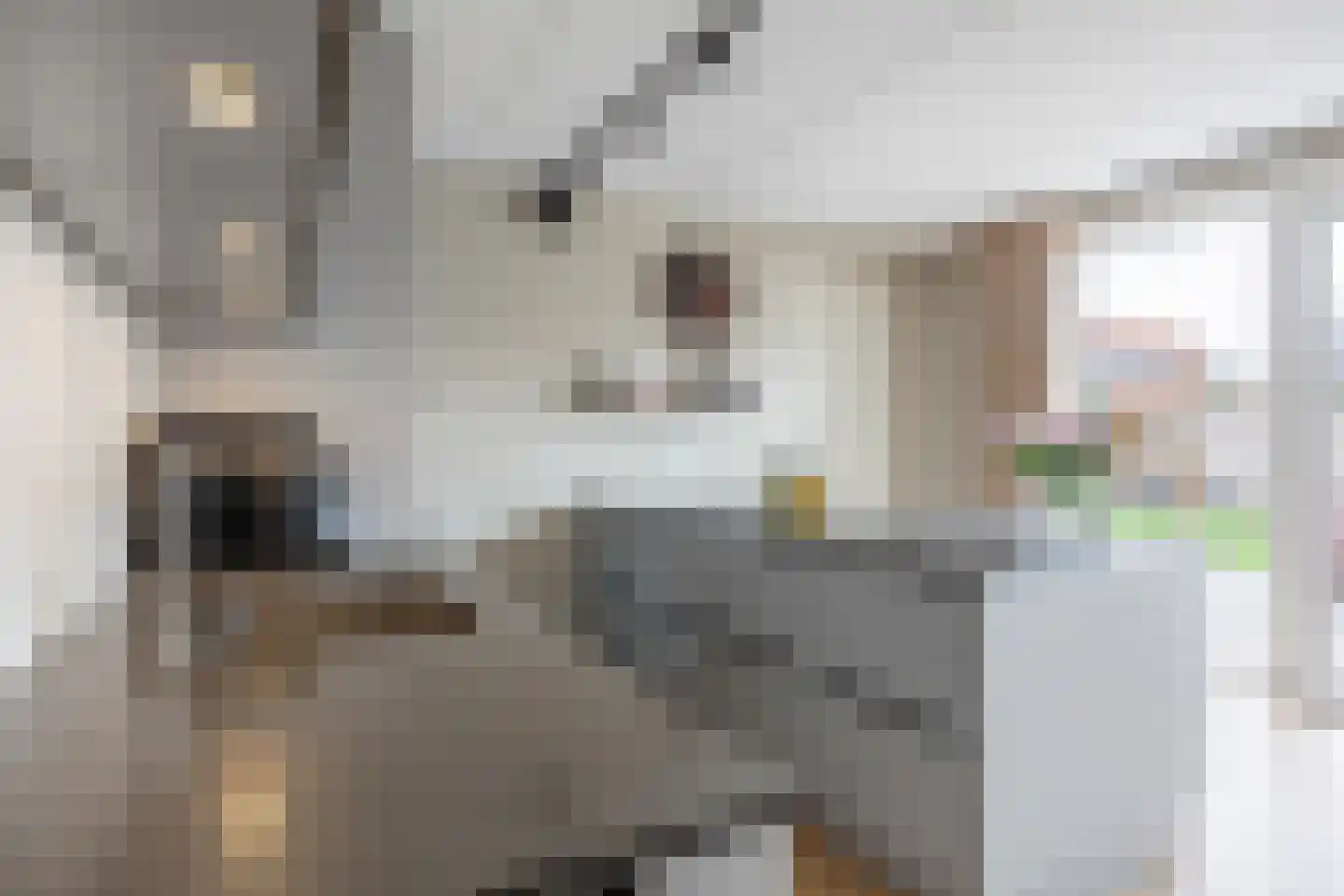Aletta Jacobsweg 53 Assen thumbnail 33