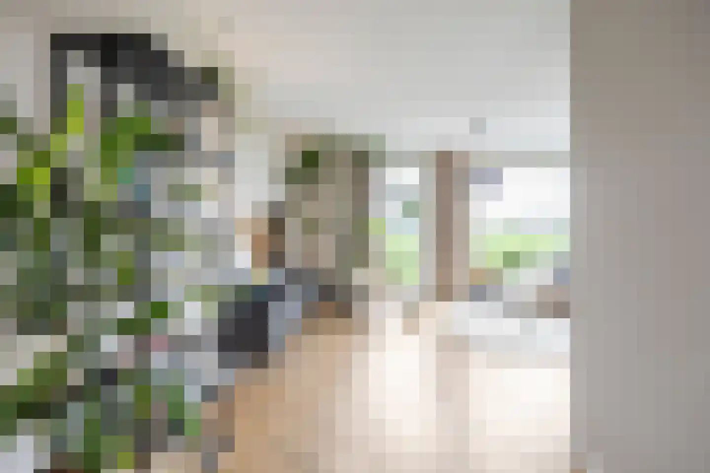 Aletta Jacobsweg 53 Assen thumbnail 37