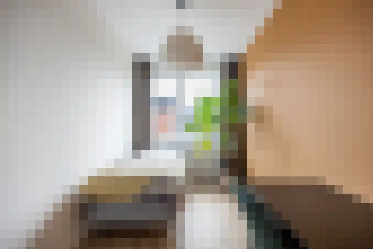 Aletta Jacobsweg 53 Assen thumbnail 40