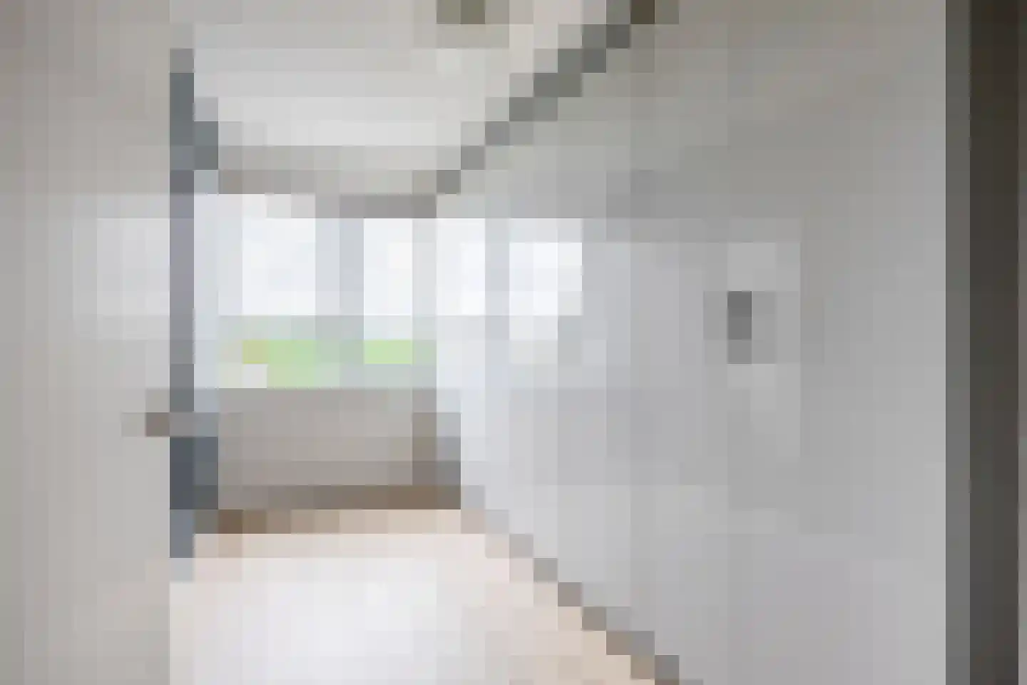 Aletta Jacobsweg 53 Assen thumbnail 44