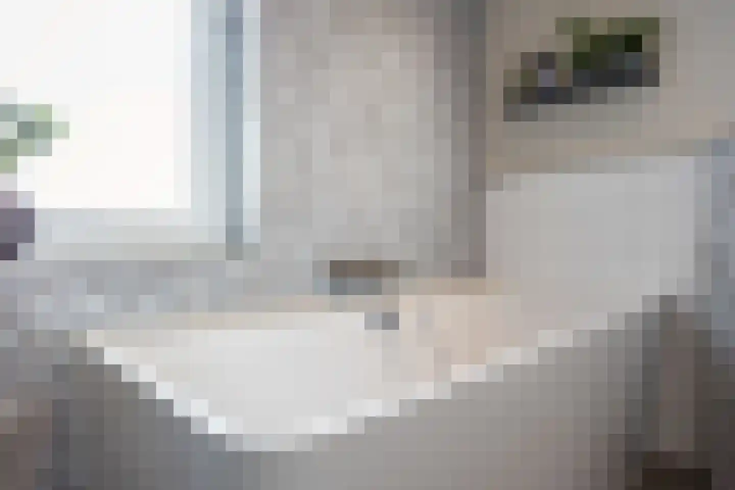 Aletta Jacobsweg 53 Assen thumbnail 49