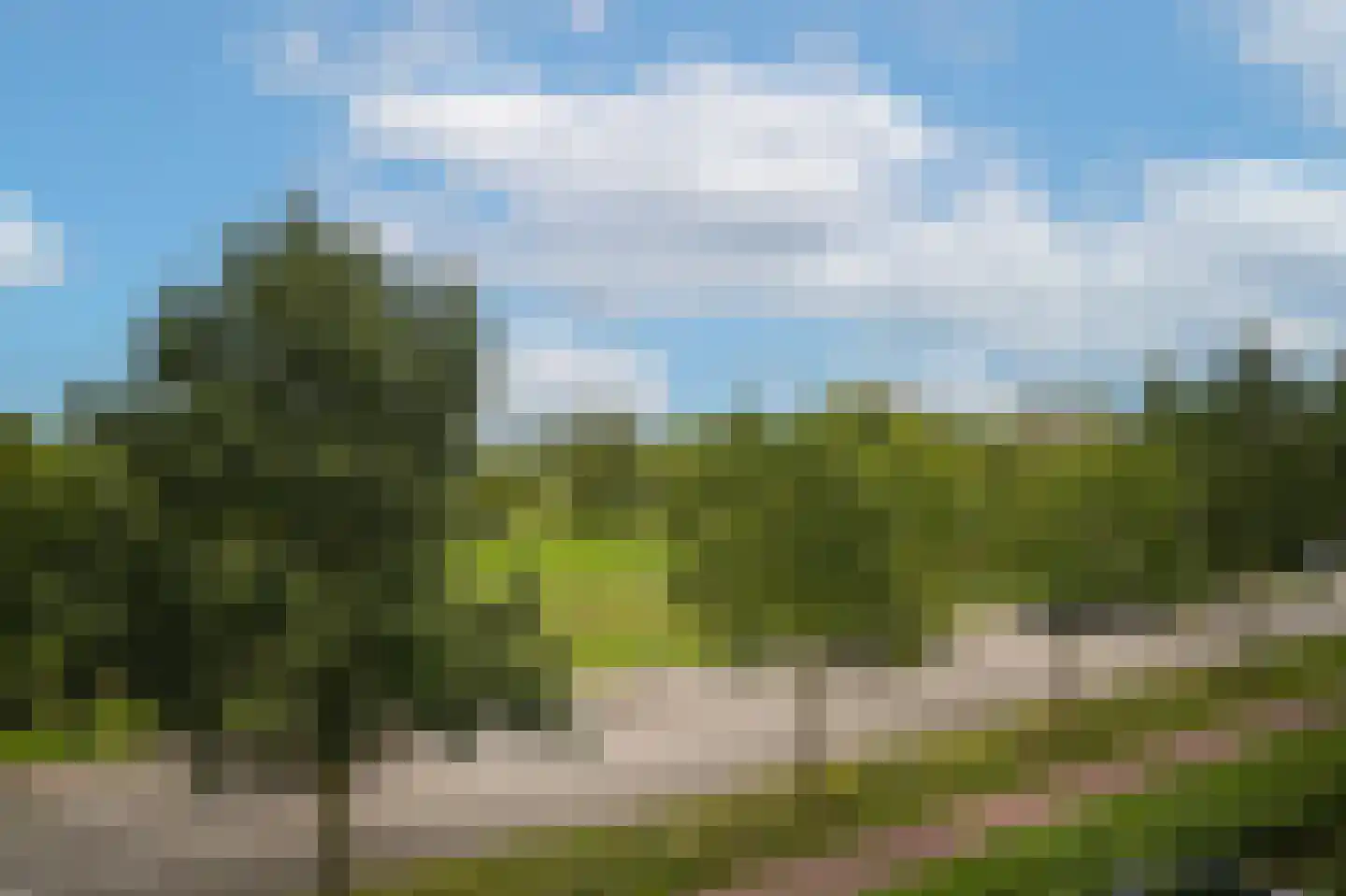 Aletta Jacobsweg 56 Culemborg thumbnail 34