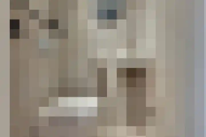 Aletta Jacobsweg 72 Assen thumbnail 12