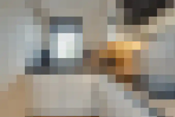 Aletta Jacobsweg 72 Assen thumbnail 9