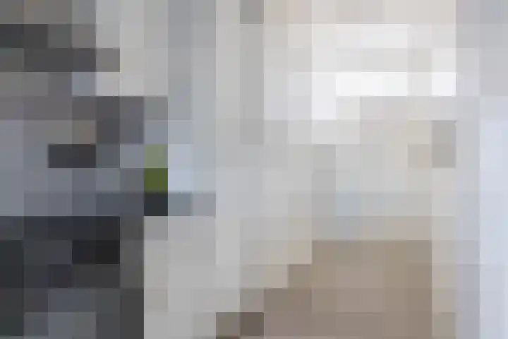 Aletta Rutgersstraat 112 Maasdijk thumbnail 18