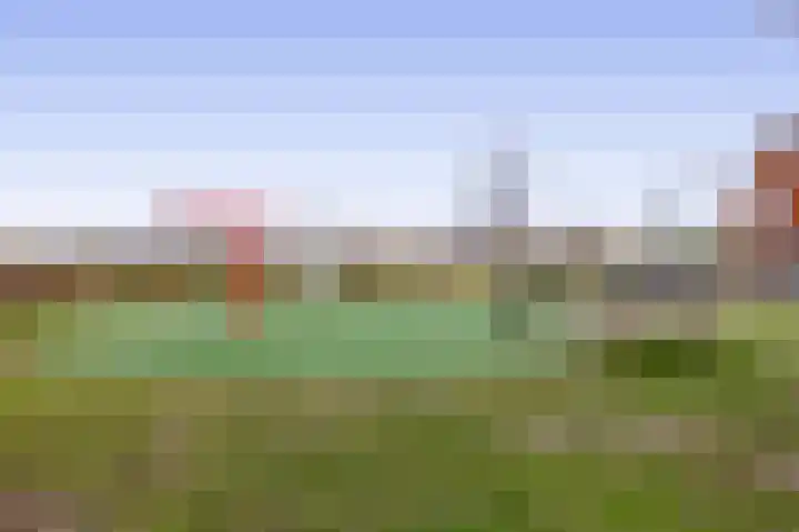 Aletta Rutgersstraat 112 Maasdijk thumbnail 31