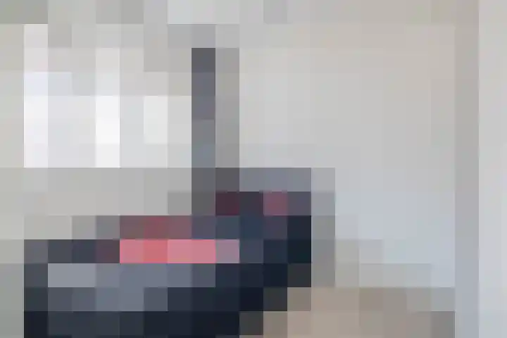 Aletta Rutgersstraat 112 Maasdijk thumbnail 5