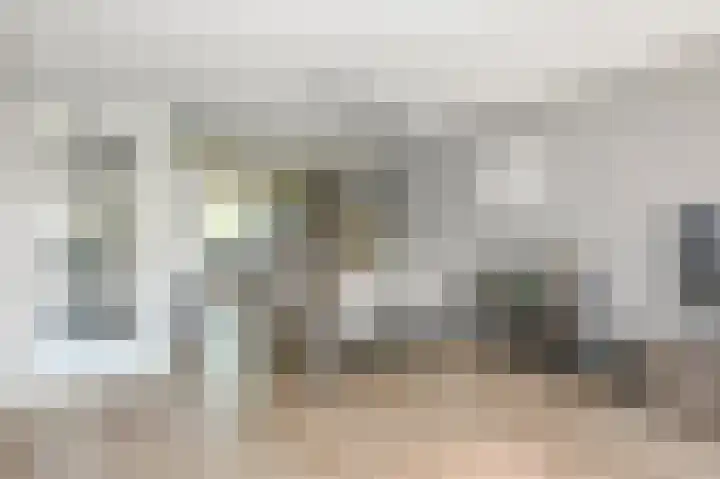 Aletta Rutgersstraat 13 Maasdijk thumbnail 17