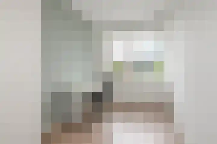 Aletta Rutgersstraat 13 Maasdijk thumbnail 32