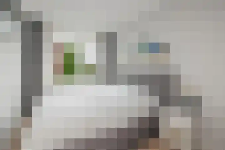 Aletta Rutgersstraat 13 Maasdijk thumbnail 34
