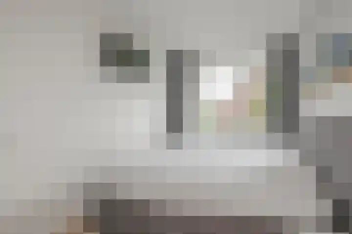 Aletta Rutgersstraat 13 Maasdijk thumbnail 35