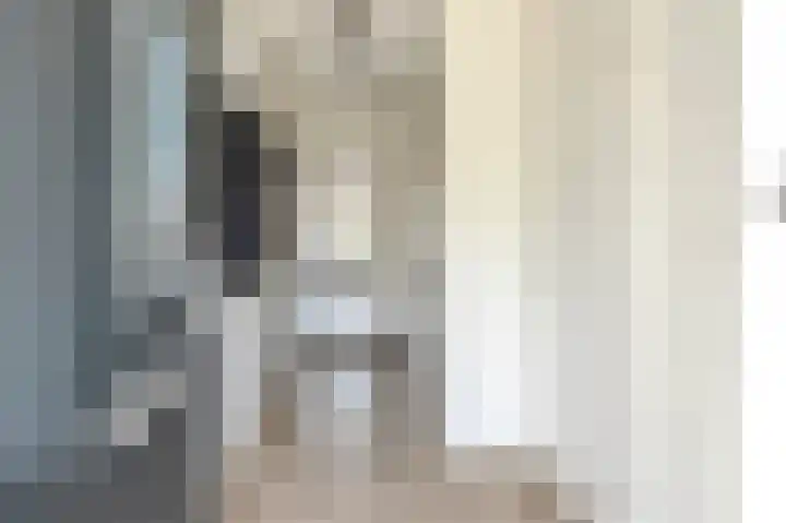 Aletta Rutgersstraat 13 Maasdijk thumbnail 6