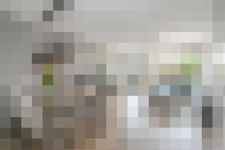 Aletta Rutgersstraat 13 Maasdijk thumbnail 7