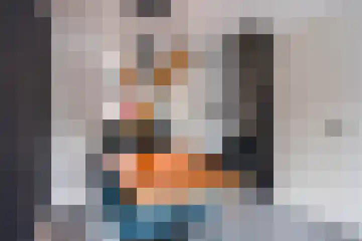 Aletta Rutgersstraat 76 Maasdijk thumbnail 13