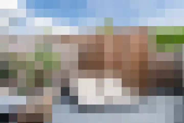 Aletta Rutgersstraat 76 Maasdijk thumbnail 31