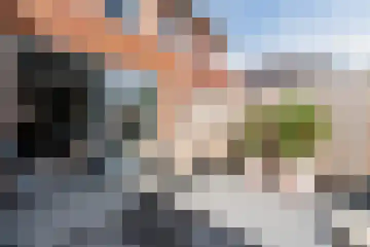 Aletta Rutgersstraat 76 Maasdijk thumbnail 33
