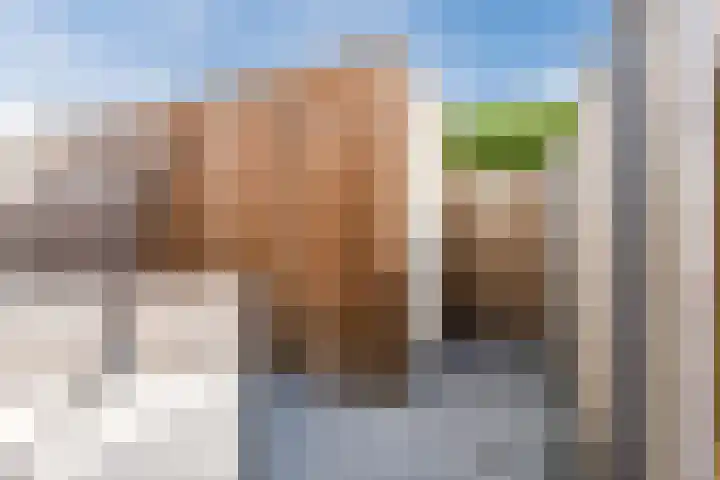 Aletta Rutgersstraat 76 Maasdijk thumbnail 34