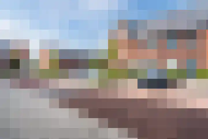 Aletta Rutgersstraat 76 Maasdijk thumbnail 6