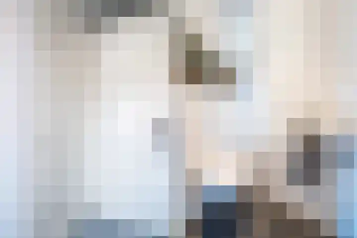 Aletta Rutgersstraat 76 Maasdijk thumbnail 9