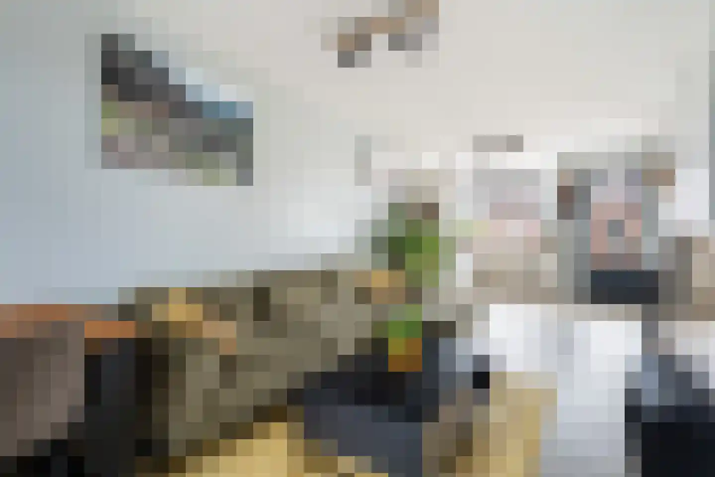 Aletta Rutgersstraat 88 Maasdijk thumbnail 10
