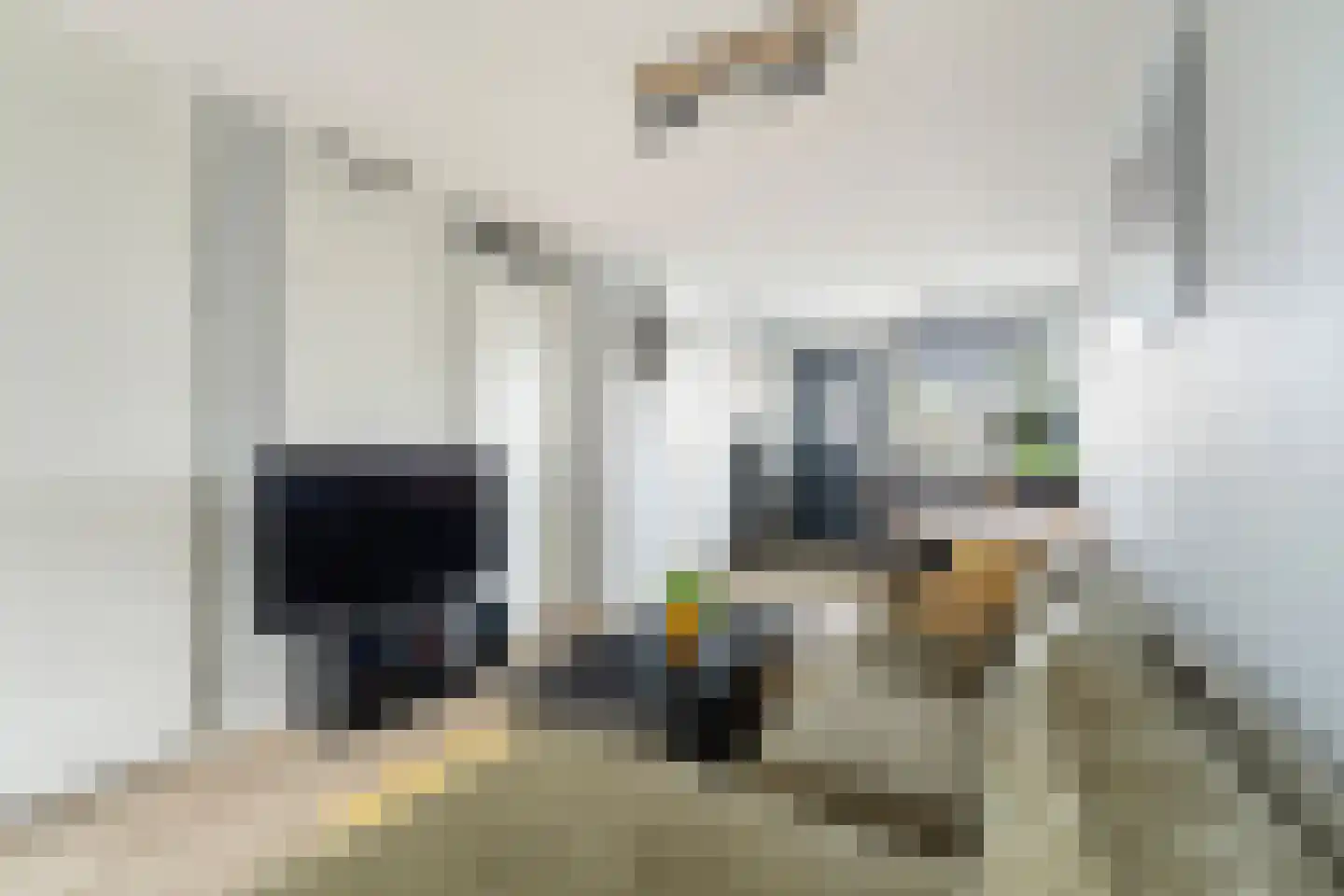Aletta Rutgersstraat 88 Maasdijk thumbnail 12