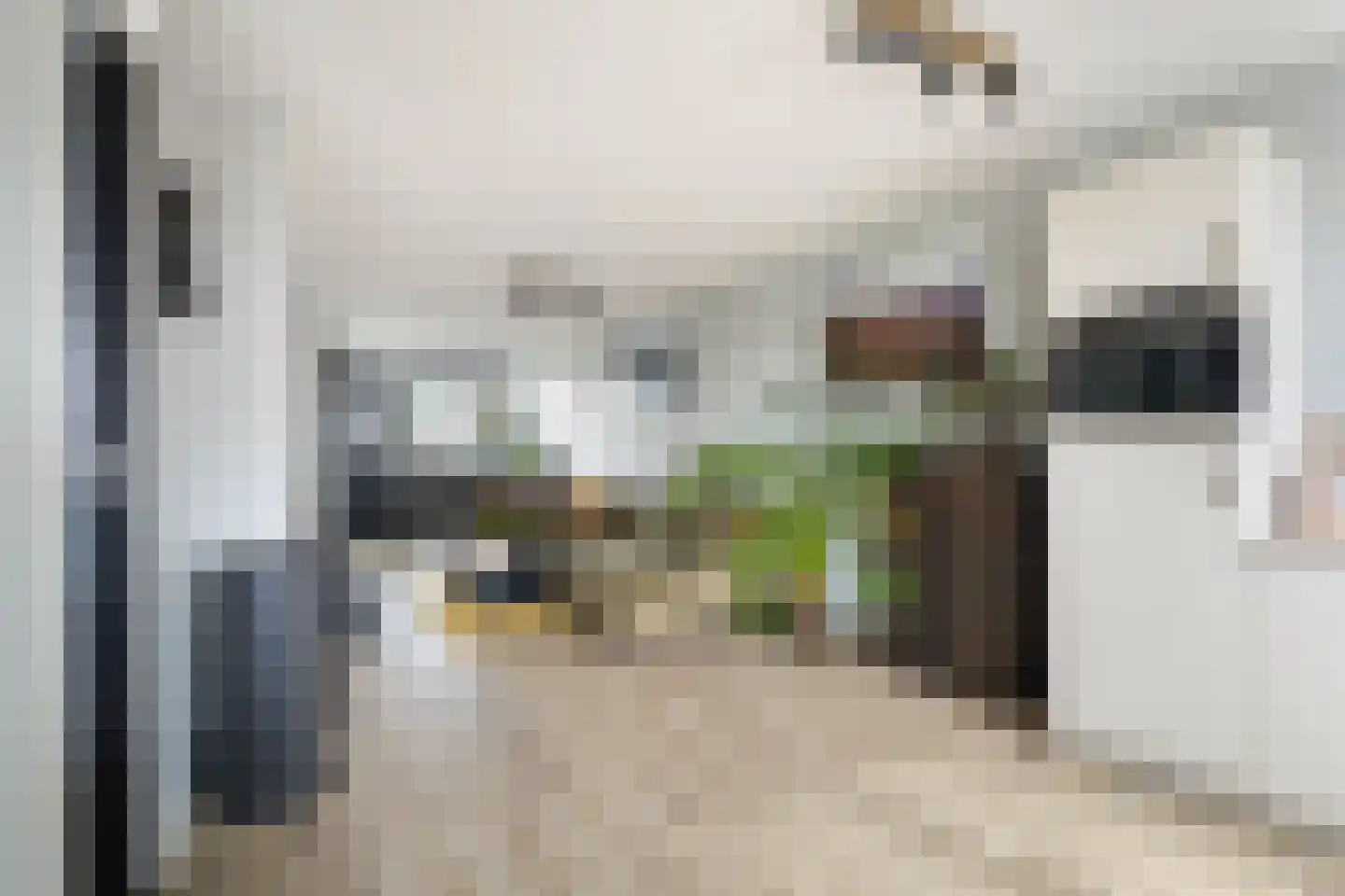 Aletta Rutgersstraat 88 Maasdijk thumbnail 13