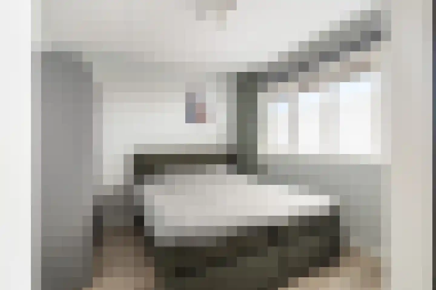 Aletta Rutgersstraat 88 Maasdijk thumbnail 16