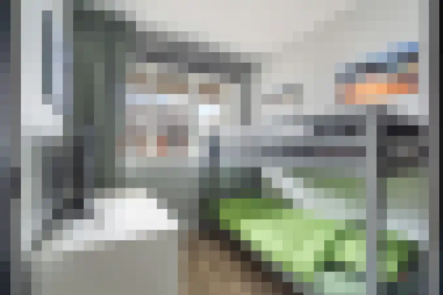 Aletta Rutgersstraat 88 Maasdijk thumbnail 18