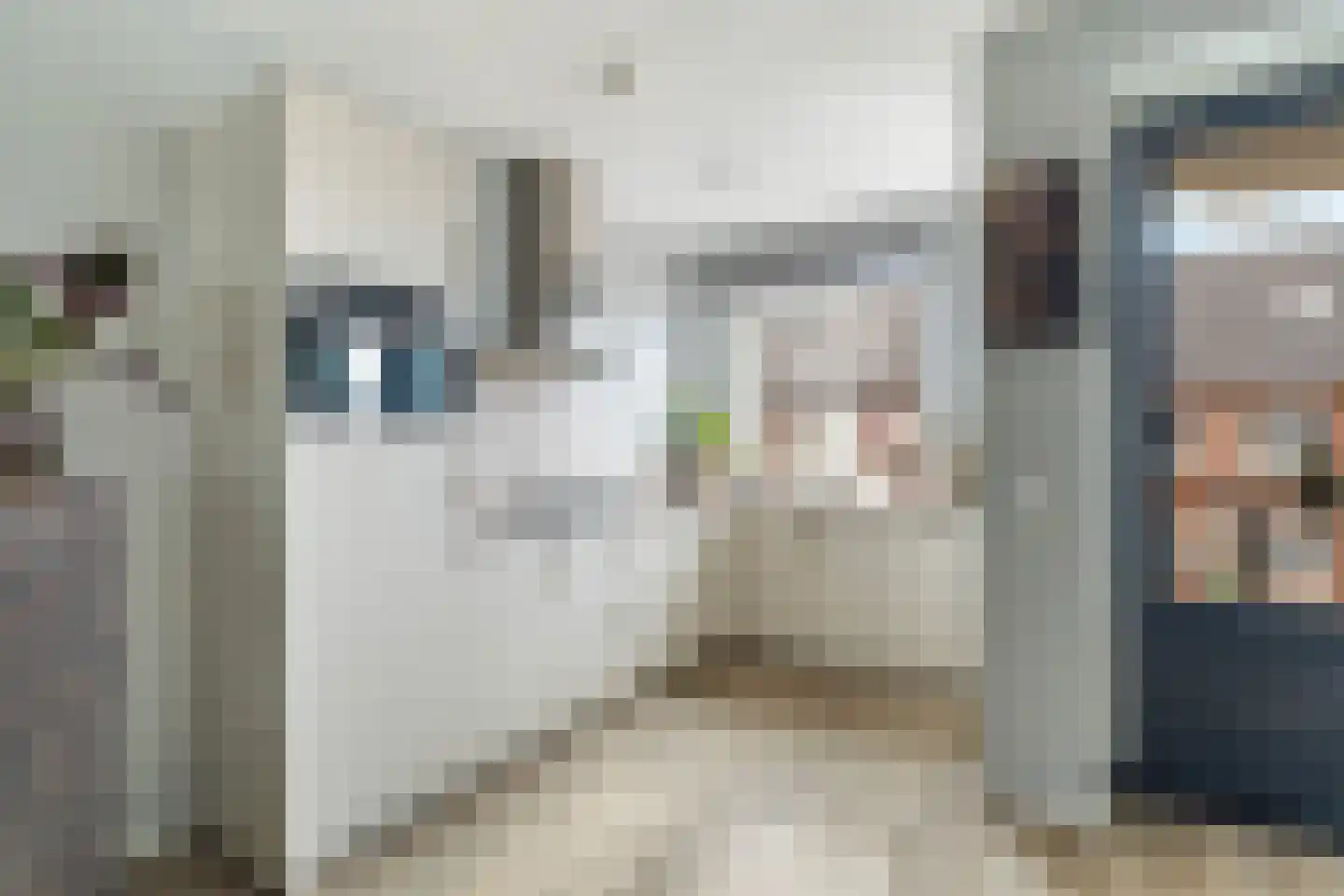 Aletta Rutgersstraat 88 Maasdijk thumbnail 4