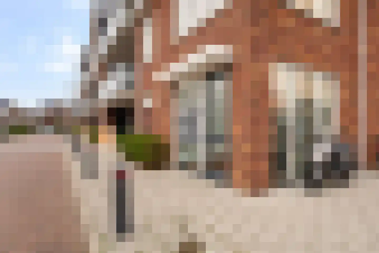 Aletta Rutgersstraat 88 Maasdijk thumbnail 7