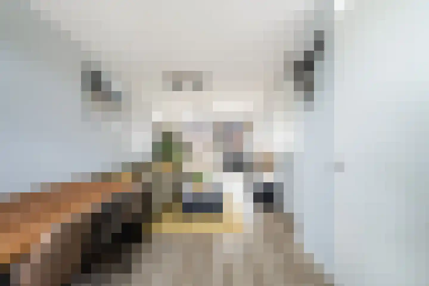 Aletta Rutgersstraat 88 Maasdijk thumbnail 8