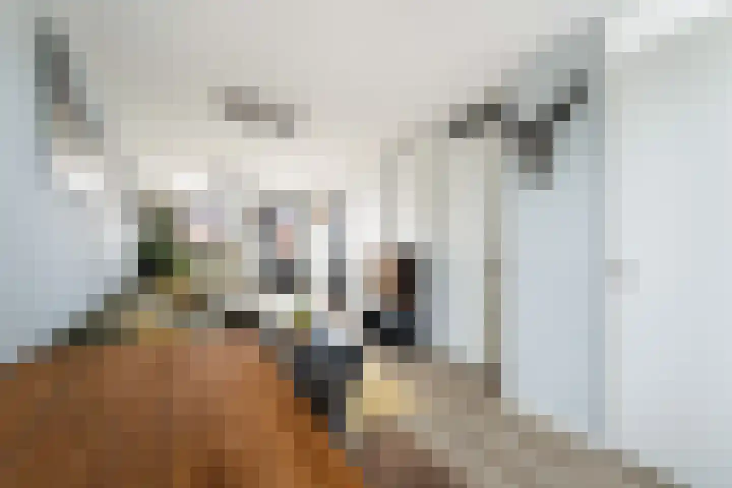 Aletta Rutgersstraat 88 Maasdijk thumbnail 9