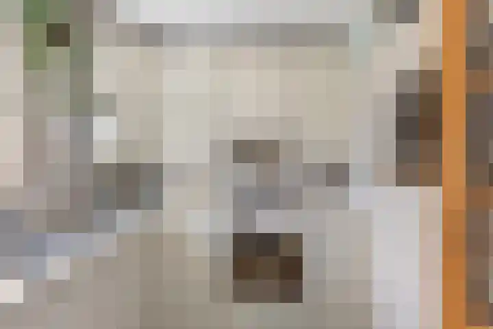 Alewijnsweer 16 Sliedrecht thumbnail 11