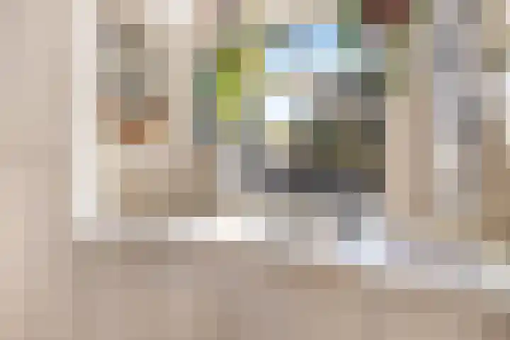 Alewijnsweer 16 Sliedrecht thumbnail 12