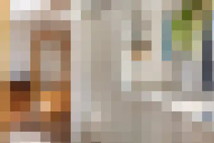 Alewijnsweer 16 Sliedrecht thumbnail 13