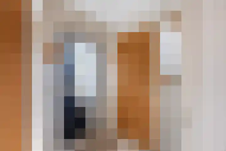 Alewijnsweer 16 Sliedrecht thumbnail 16