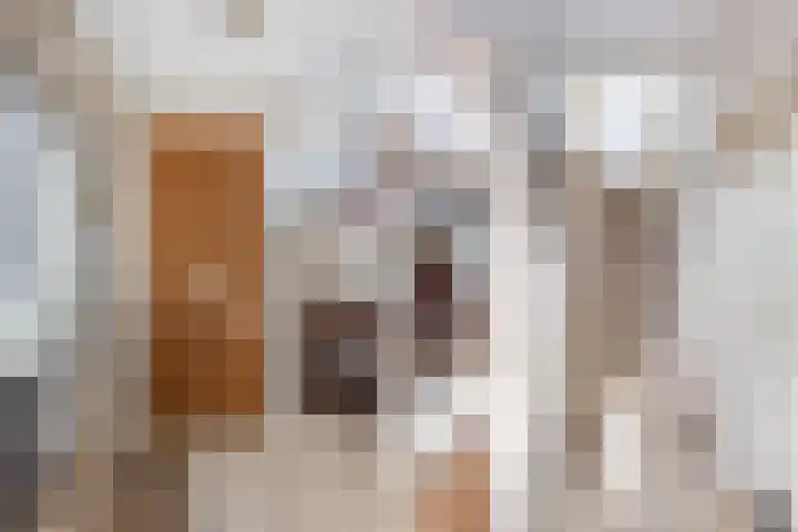 Alewijnsweer 16 Sliedrecht thumbnail 18