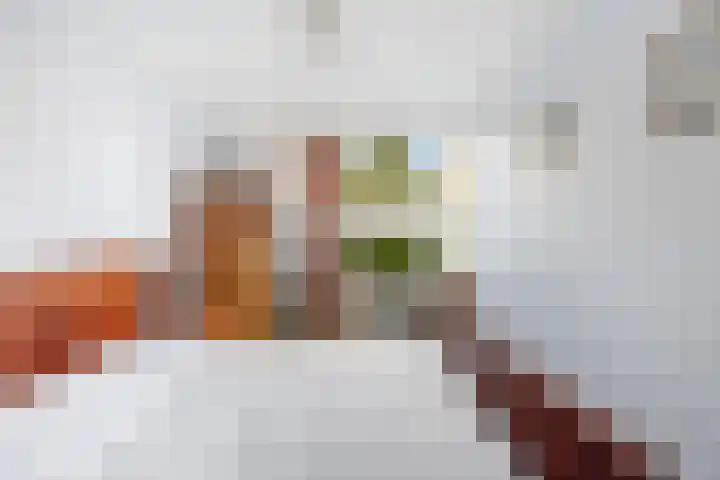Alewijnsweer 16 Sliedrecht thumbnail 21