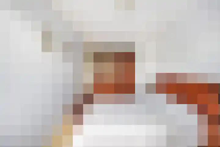 Alewijnsweer 16 Sliedrecht thumbnail 22