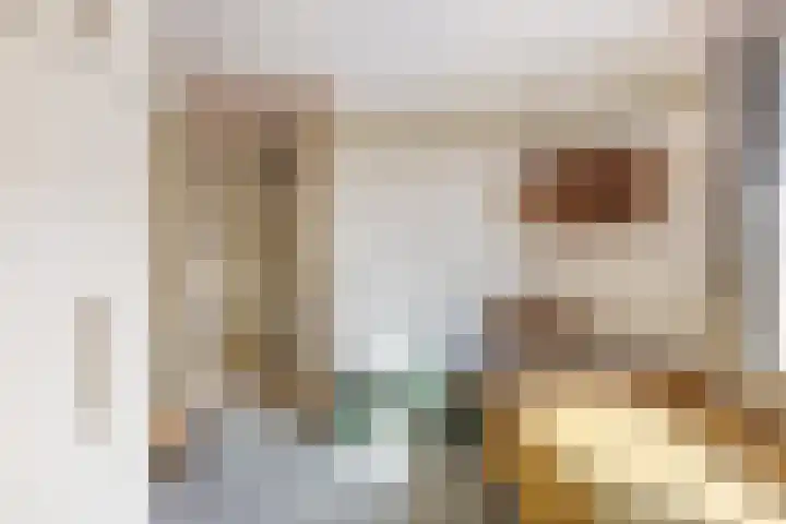 Alewijnsweer 16 Sliedrecht thumbnail 23