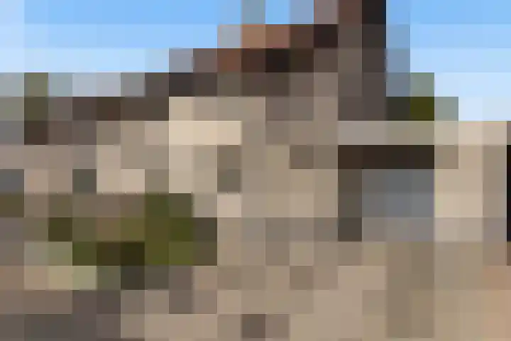 Alewijnsweer 16 Sliedrecht foto 3