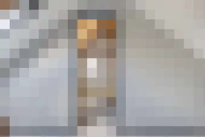 Alewijnsweer 16 Sliedrecht thumbnail 35