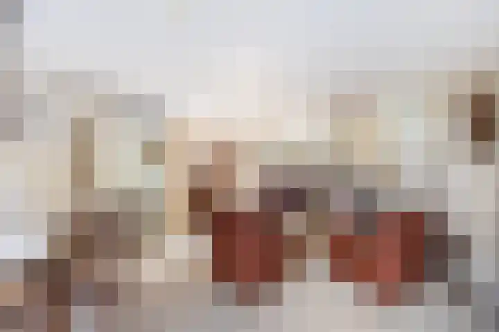 Alewijnsweer 16 Sliedrecht thumbnail 4